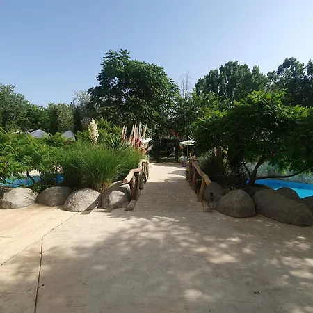 Harmony 11 Grand Slantchev Briag